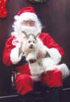 jasperperenoel2003.jpg (38936 octets)